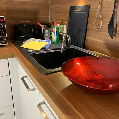公寓 Ferienwohnung Im Schwarzwaldhaus