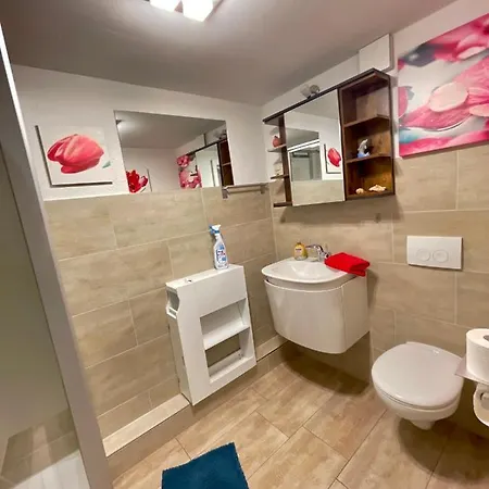 公寓 Ferienwohnung Im Schwarzwaldhaus Ebersbach (Meisen)