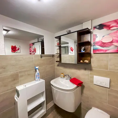公寓 Ferienwohnung Im Schwarzwaldhaus *